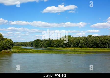 Ungarn, Südungarn, Szeremle in der Nähe von Baja, Pannonische Tiefebene, Südliche Tiefebene, Bacs-Kiskun County, Gemenc Forest, Nationalpark Donau-Drau, Donau Landschaft, Flusslandschaft, Estuary, verlassenen Meander, Aue, angeschwemmtes Land, cumulus Wolken Stockfoto