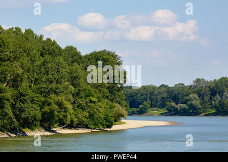 Donau Landschaft in Bratislava, Flusslandschaft, Donauufer, Sandstrand in einer Flussbiegung, Waldland, Auwald, der Slowakischen Republik, in der Slowakei, Hauptstadt, Kleine Karpaten Stockfoto