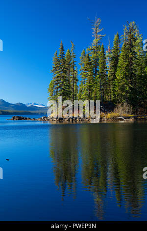 Waldo See aus Shoreline Trail, Waldo Lake State Scenic Wasserstraße, Willamette National Forest, Oregon Stockfoto