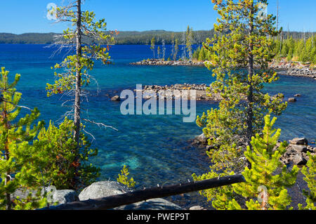 Waldo See aus Shoreline Trail, Waldo Lake State Scenic Wasserstraße, Willamette National Forest, Oregon Stockfoto