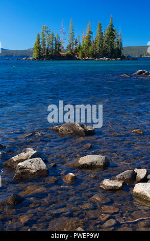 Waldo See aus Shoreline Trail, Waldo Lake State Scenic Wasserstraße, Willamette National Forest, Oregon Stockfoto