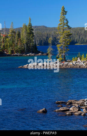 Waldo See aus Shoreline Trail, Waldo Lake State Scenic Wasserstraße, Willamette National Forest, Oregon Stockfoto