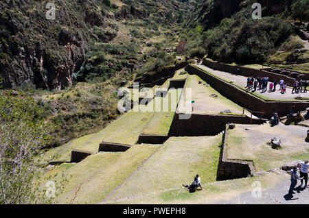 Inca Terrassen und Ruinen, Pisac, das Heilige Tal, Peru Stockfoto