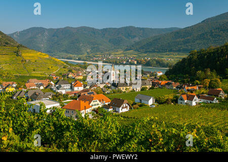 Bunte Weinberge in der Nähe von Spitz an der Donau im Herbst, blauer Himmel (Wachau, Niederösterreich) Stockfoto