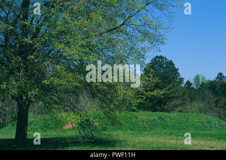 Bear Creek Damm, Natchez, Mississippi, gebaut AD 1200-1400 als zeremonielle Struktur. Foto Stockfoto