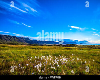 Die schöne Landschaft in der Nähe von snæfellsjökull Nationalpark im Osten von Island Stockfoto