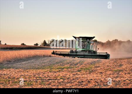 Ernte von Sojabohnen in Iowa Stockfoto