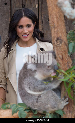 Bei einem Besuch in den Taronga Zoo in Sydney am ersten Tag des königlichen Paar Besuch in Australien. Stockfoto