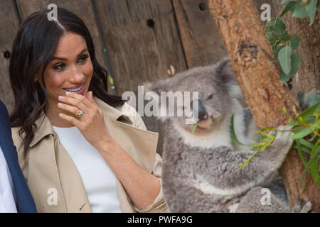 Bei einem Besuch in den Taronga Zoo in Sydney am ersten Tag des königlichen Paar Besuch in Australien. Stockfoto