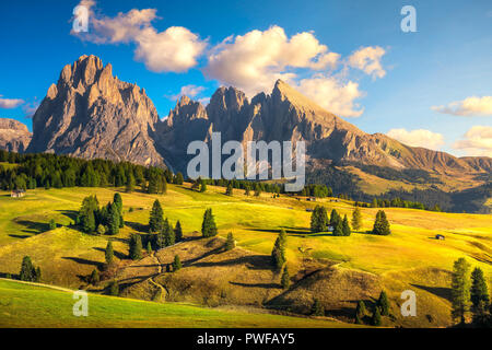 Seiser Alm oder Seiser Alm, Dolomiten Alpen Langkofel und Plattkofel Berge, Trentino Alto Adige Sud Tirol, Italien, Europa Stockfoto