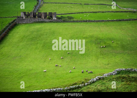 Landschaft rund um Torr Head, der Anziehung eines Nordirland befindet sich auf Land von antrim in der Nähe von Ballycastle. Stockfoto