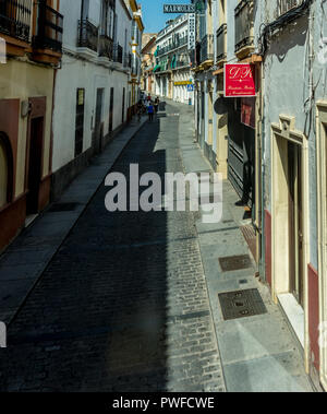 Cordoba, Spanien - 20. Juni: Straße inmitten von Bäumen und Gebäuden in der Stadt, Europa, Andalusien Stockfoto