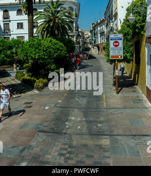 Cordoba, Spanien - 20. Juni: Straße inmitten von Bäumen und Gebäuden in der Stadt, Europa, Andalusien Stockfoto