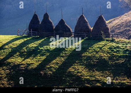 Herbst Landschaft in den Bergen mit Stack von Heu. Traditionelle hay Stacks, typisch ländliche Szene von Fundatura Ponorului, Rumänien. Stockfoto