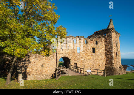 St. Andrews Castle, St Andrews, Fife, Schottland. Stockfoto