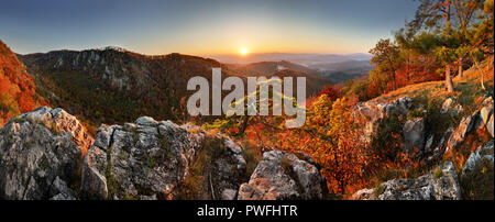 Berg Herbst Landschaft mit bunten Wald und Burg Uhrovec, Slowakei Stockfoto