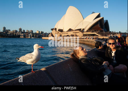 16.09.2018, Sydney, New South Wales, Australien - Menschen werden gesehen, sitzen in einem Straßencafé entlang Circular Quay Quay genießen die Abendsonne. Stockfoto