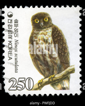 Poststempel Stempel aus Südkorea in den Braunen Hawk-Owl Serie in 2006. Stockfoto