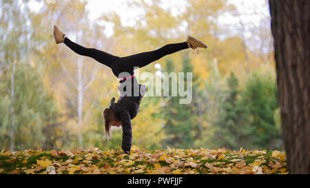 Mädchen, die Turnerin stand auf geraden Hände. Park, Herbst Stockfoto