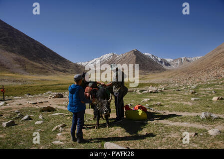 Yak Trekking zum See Zorkul, Tadschikistan Stockfoto