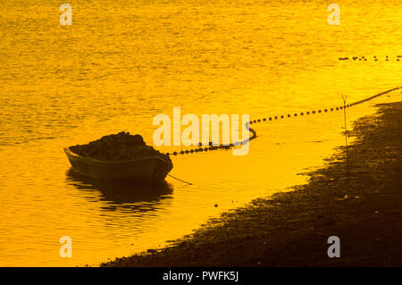 Boot mit Angeln Versorgung Netze mit niemand auf Sonnenuntergang Stockfoto