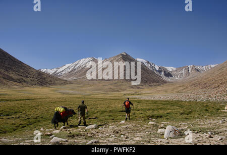 Yak Trekking zum See Zorkul, Tadschikistan Stockfoto