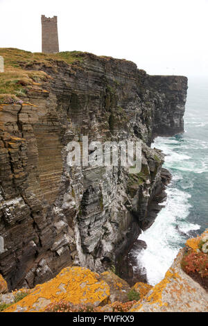 Nistende Vögel und Kitchener Memorial, Marwick Kopf, Orkney Stockfoto