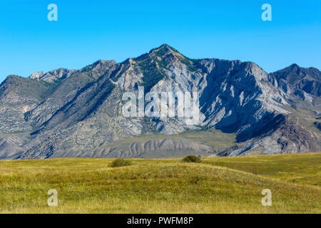 Sicht auf die Weißen Felsen, ein Ort, auf dem rechten Ufer des Flusses Chuya, argut Cluster, RepublicAltai Republik Altai. Stockfoto