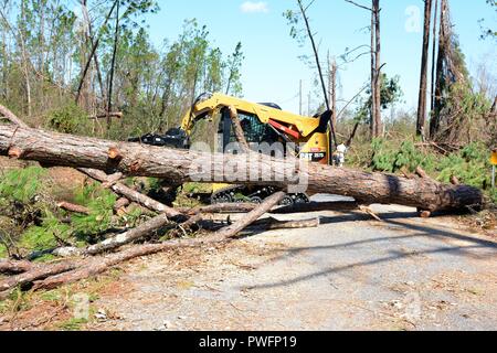 Staff Sgt. Alex Spano, elektrische Facharbeiter aus der 202. Geben Sie der Camp Blanding, Fla. Verwendet ein kompaktlader einen umgestürzten Baum auf Debi Straße im Bayou George Bereich von Panama City Oktober 14, 2018, 14. Oktober 2018 zu löschen. Die GEBEN Sie auf Für ihr Know-how in der effizienten Route clearing genannt nach dem Hurrikan Michael durch kamen. (U.S. Air National Guard Foto: Staff Sgt. Carlynne DeVine). () Stockfoto