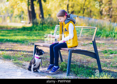 Kleine Mädchen spielen in einem Herbst park mit Boston Terrier Hund. Freizeit Konzept Stockfoto