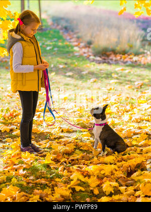 Kleine Mädchen spielen in einem Herbst park mit Boston Terrier Hund. Freizeit Konzept Stockfoto