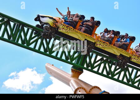 Tampa, Florida; September 29,2018 Mann genießt schnelle Fahrt in erstaunlich in der terrific Geparden jagen Achterbahn in Busch Gardens Tampa Bay Stockfoto