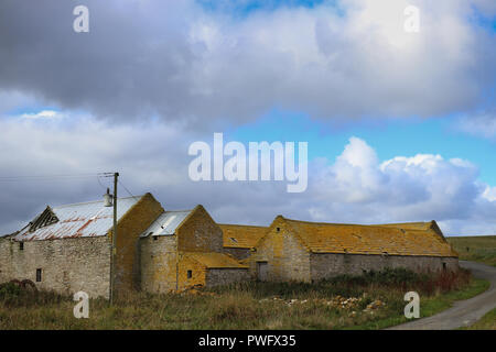 Alte Stein Scheunen mit Dächern in gelb Flechten bedeckt, unter einem blauen Himmel mit wehenden weißen Wolken, grünes Gras, auf der Insel Rousay, Orkney, Schottland Stockfoto