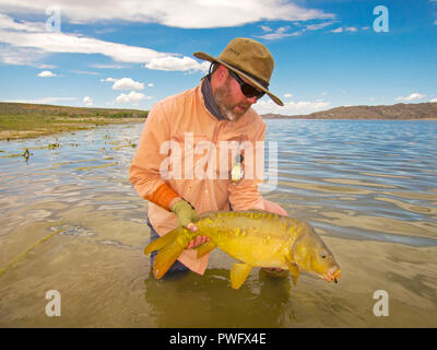 Süßwasser Fliegenfischen auf Forellen und Lachs. Stockfoto