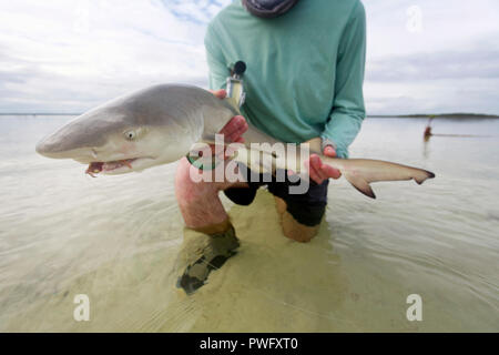 Szene aus Salzwasser Fliegenfischen für bonefish und Tarpon, roosterfish, Mahi Mahi, Thunfisch, Makrele, und ermöglichen. Stockfoto