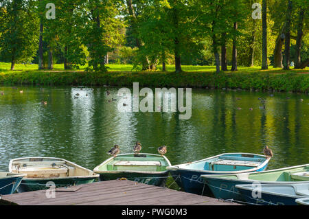 Pavlovsk, St. Petersburg, Russland - 21. September 2017. Boot parken am Pawlowsk Park Gebiet im sonnigen Nachmittag in Pawlowsk, St Petersburg, Russi Stockfoto