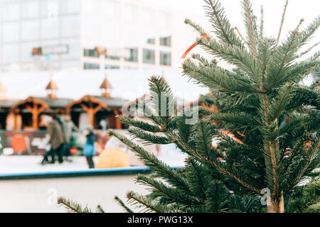 Weihnachtsbaum oder Tannenzweigen im Vordergrund. Die Eislaufbahn in Berlin Alexanderplatz ist unscharf im Hintergrund. Weihnachtsferien. Die Menschen in den Ferien entspannen. Stockfoto