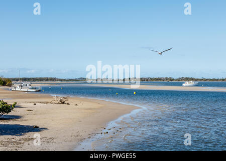 Ein Boot am Goldenen Strand von Pelican Waters, Sunshine Coast, Queensland, Australien Stockfoto