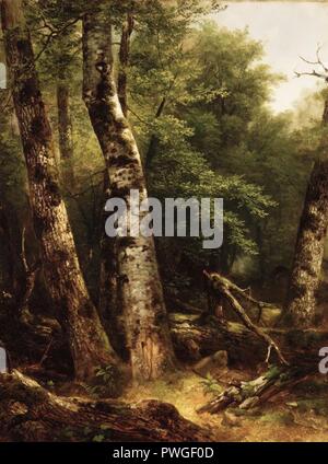 Landschaft (Birken und Eichen) - ASHER B. Durand - insgesamt. Stockfoto