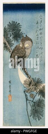 Eule auf einem Ast-Utagawa Hiroshige (Ando). Stockfoto