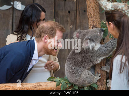 Während eines Rundganges außerhalb des Sydney Opera House in Sydney, am ersten Tag des königlichen Paar Besuch in Australien. Stockfoto