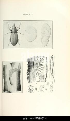 Bulletin der Illinois State Labor der Naturgeschichte Stockfoto