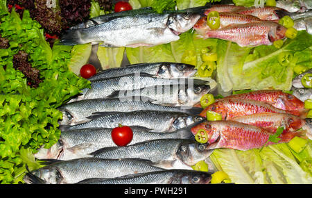 Roher Fisch von der Rotbarbe und Hering mit Gemüse Paprika, Tomaten und Salat auf den Markt, das gesunde Essen Konzept der Ansicht von oben Stockfoto
