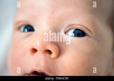 Nahaufnahme des linken blauen Auge des Neugeborenen baby boy Stockfoto