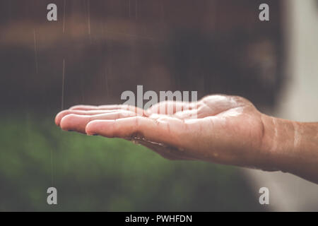 Die Hände fangen sauber fallender Regen fällt. Umwelt und Gesundheitswesen Konzept. Stockfoto