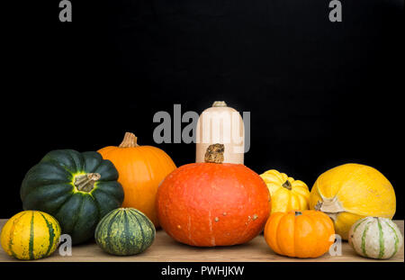 Ein Sortiment von verschiedenen Arten der Kürbisse, Zucchini und Kürbisse auf einem Markt Regal mit einem schwarzen Hintergrund und kopieren Raum ausgehen. Stockfoto