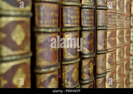 Alte Bücher im Bücherregal Stockfoto