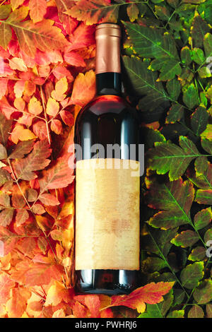 Flasche Wein Präsentation auf Herbst Blatt Konzept Stockfoto