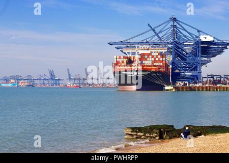 Der MSC Ditte container Schiff angedockt am Hafen von Felixstowe, Suffolk, Großbritannien. Sonnigen Nachmittag, Oktober 2018. Stockfoto