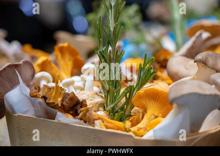 Bunte frische Pilze am Borough Market, London Stockfoto